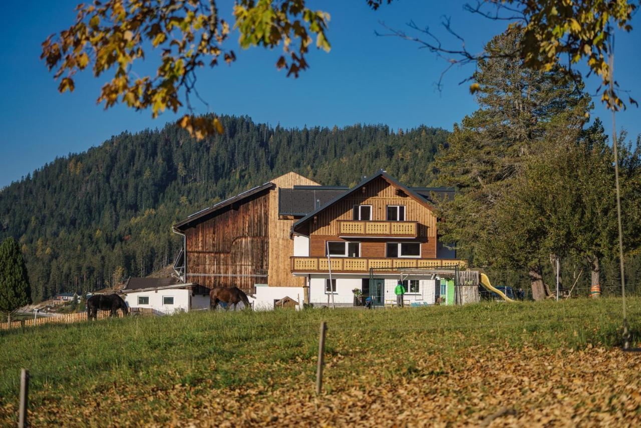 Deluxe Appartement Blasbichlerhof Ramsau am Dachstein Esterno foto